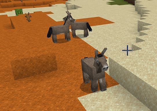 Where To Find and How to Tame Donkey in Minecraft