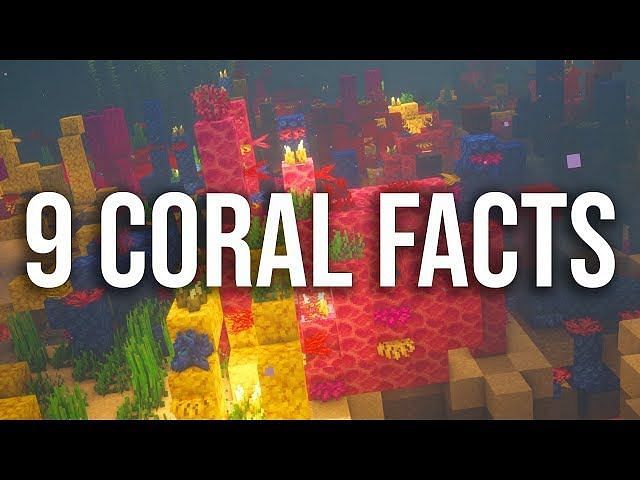 What Is The Best Way To Mine Coral In Minecraft?