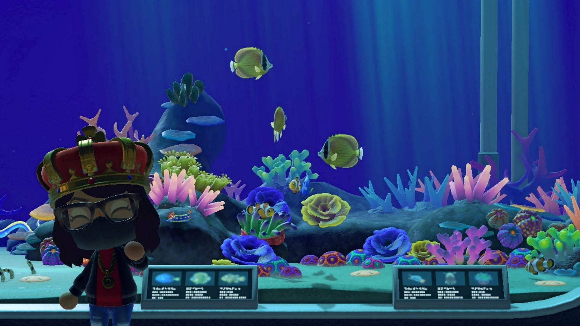 Animal Crossing: New Horizons players get to experience a bunch of different sea creatures in May 2022 (Image via Nintendo)