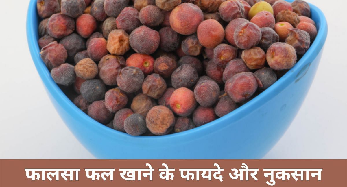 फालसा फल खाने के फायदे और नुकसान(फोटो-Sportskeeda hindi)