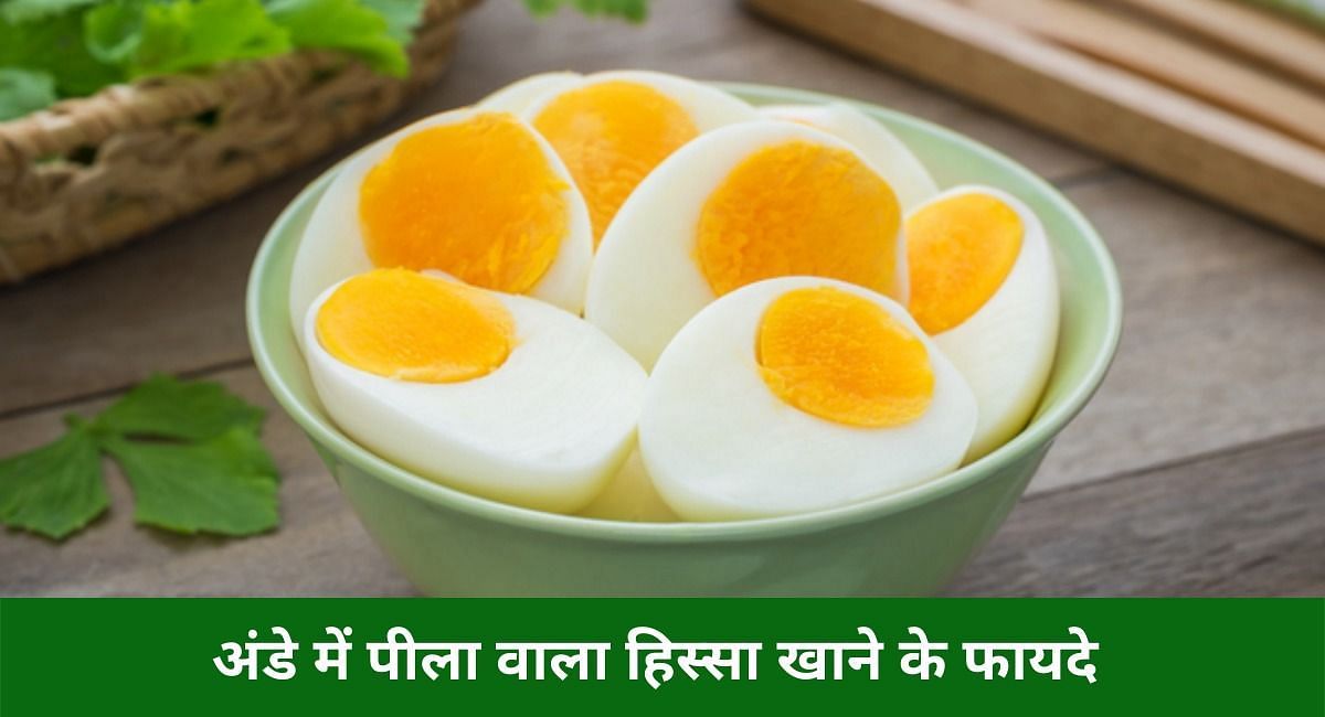 अंडे में पीला वाला हिस्सा खाने के फायदे ( फोटो - Sportskeeda hindi)