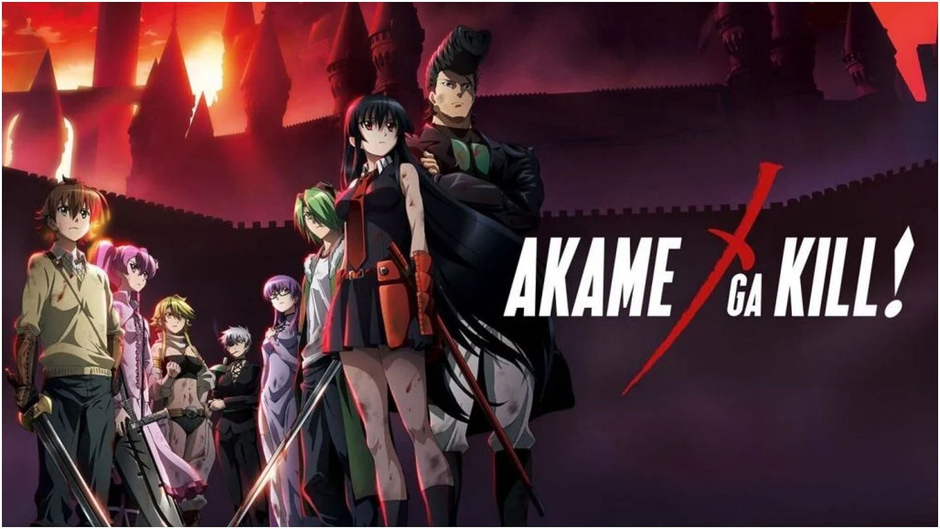 All characters of Akame ga Kill! as seen in the anime (Image via White Fox)