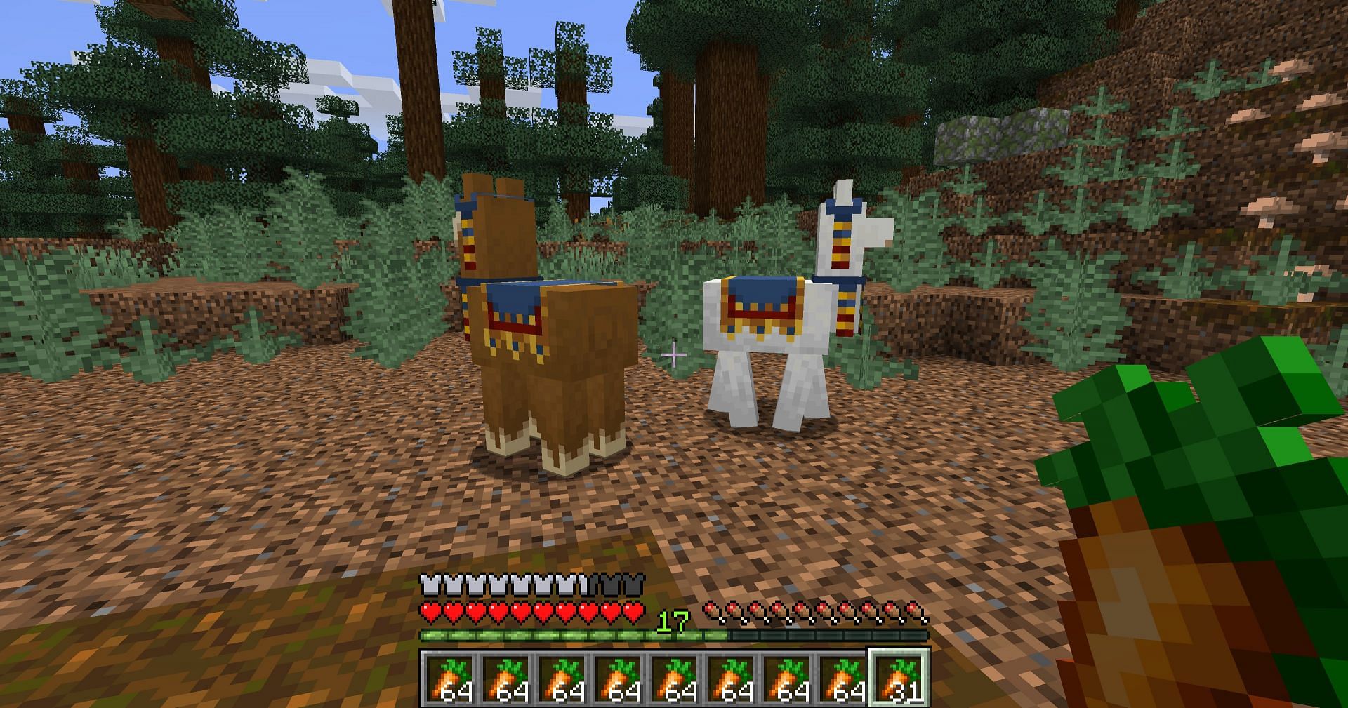 Two merchant llamas side by side (Image via Minecraft)