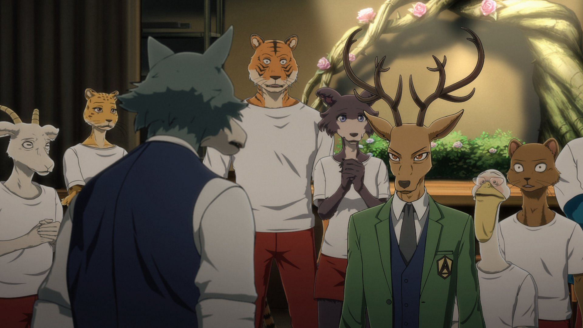 Beastars Anime Review  But Why Tho