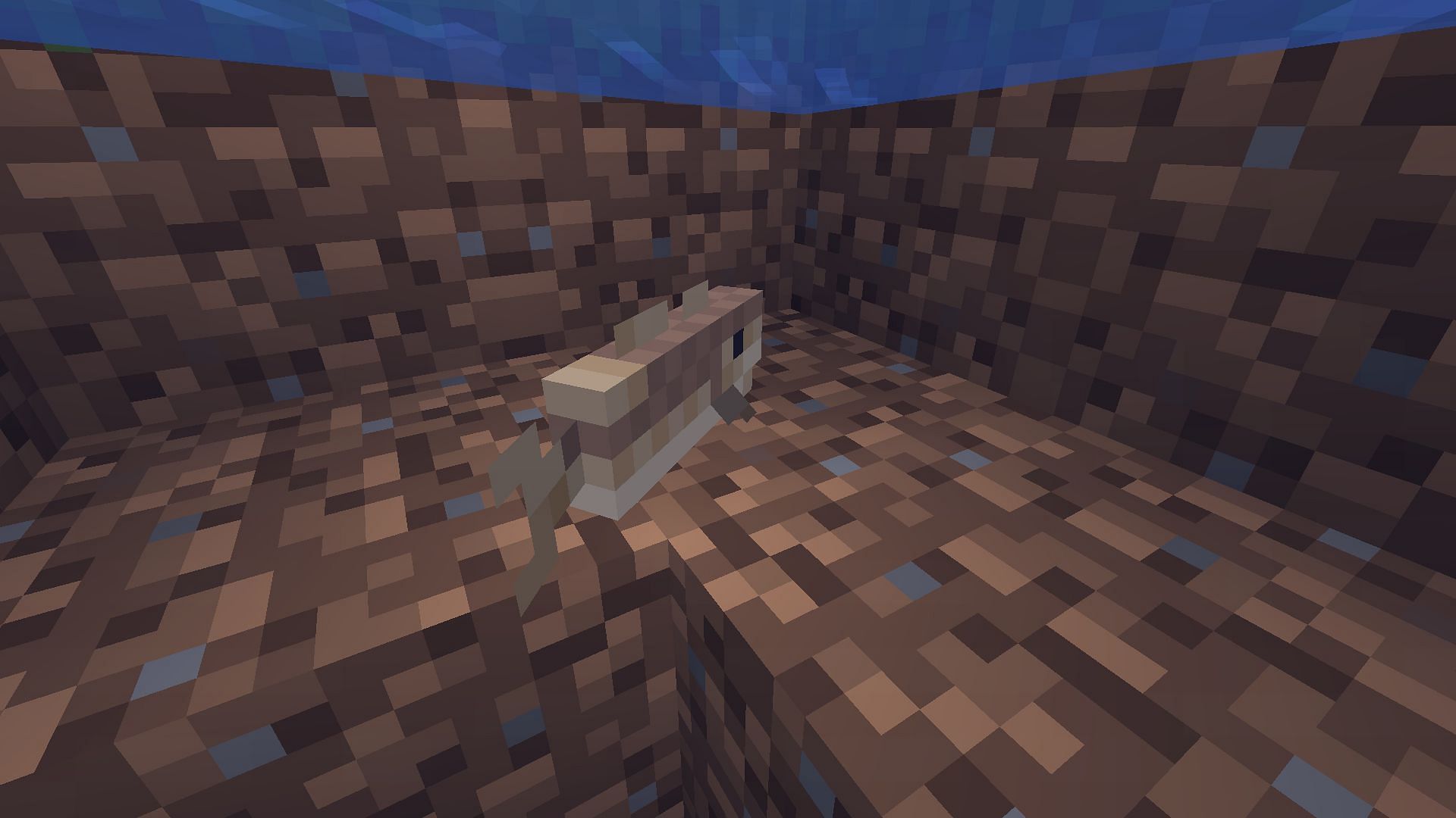 Cod, Salmon, Pufferfish, and Tropical Fish, all have the same amount of health (Image via Minecraft)
