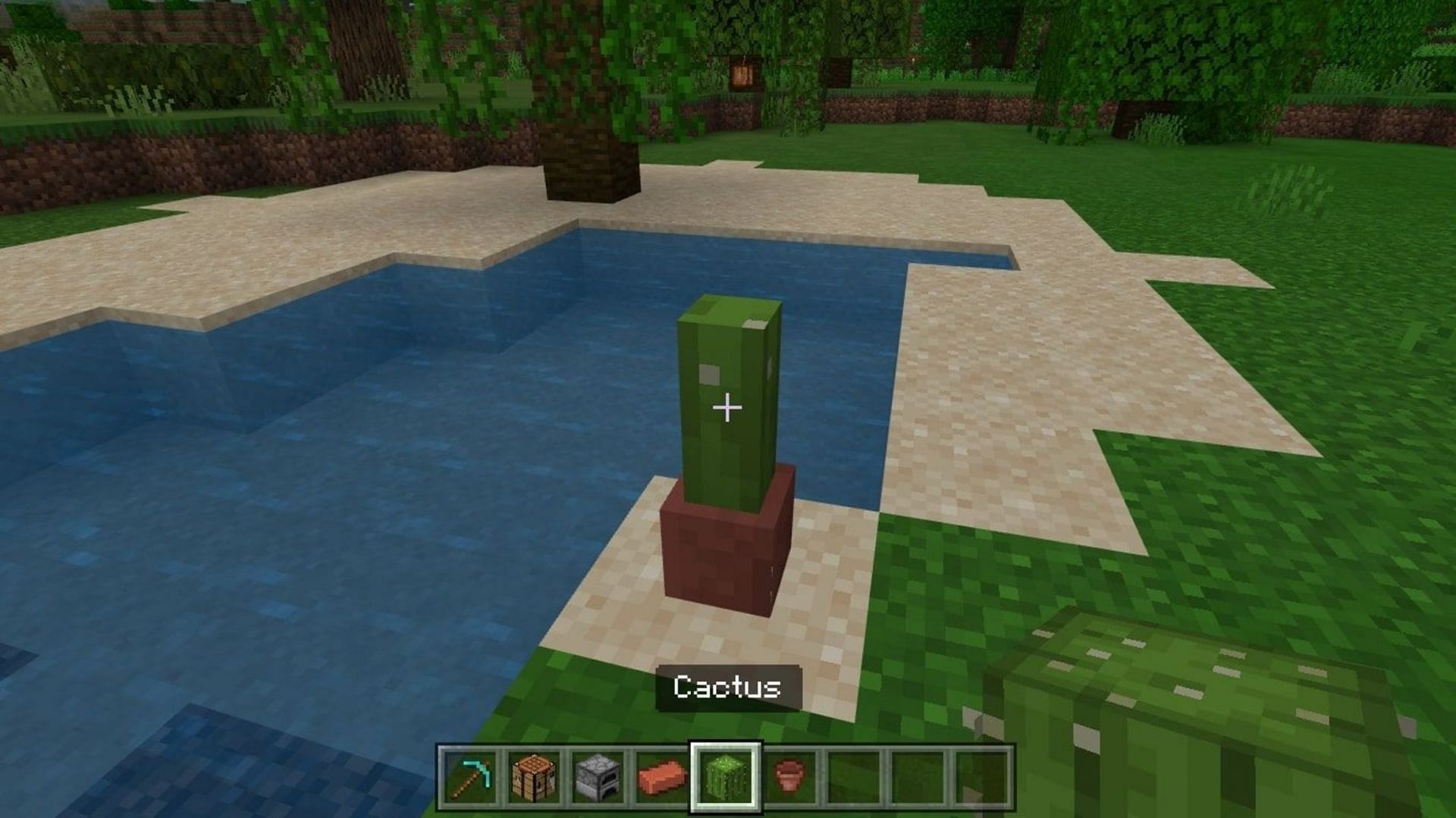 Cacti are no longer dangerous when potted (Image via Mojang)