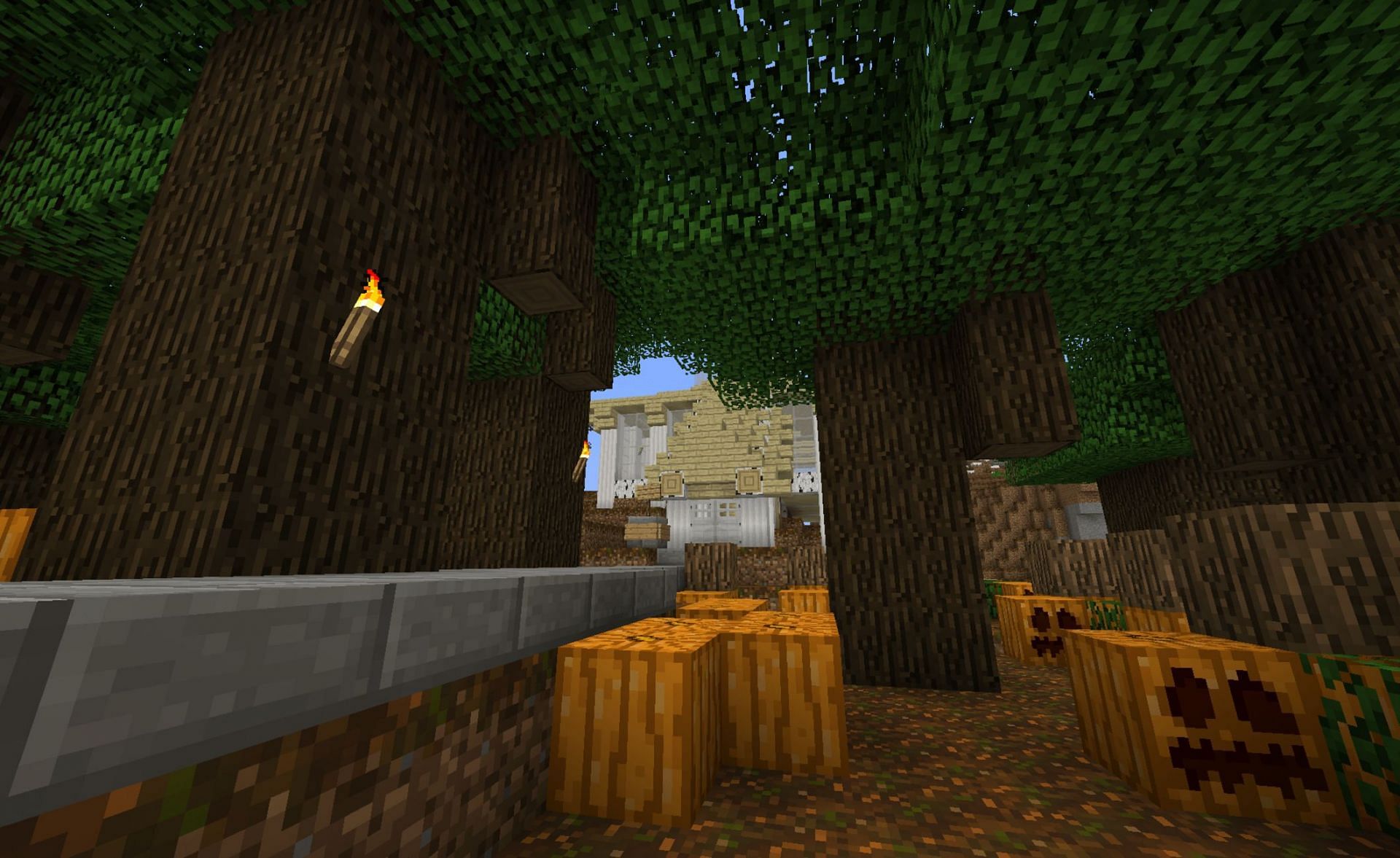 Podzol found in an old taiga biome (Image via MineTexas)