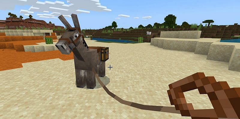 How to use donkey in Minecraft