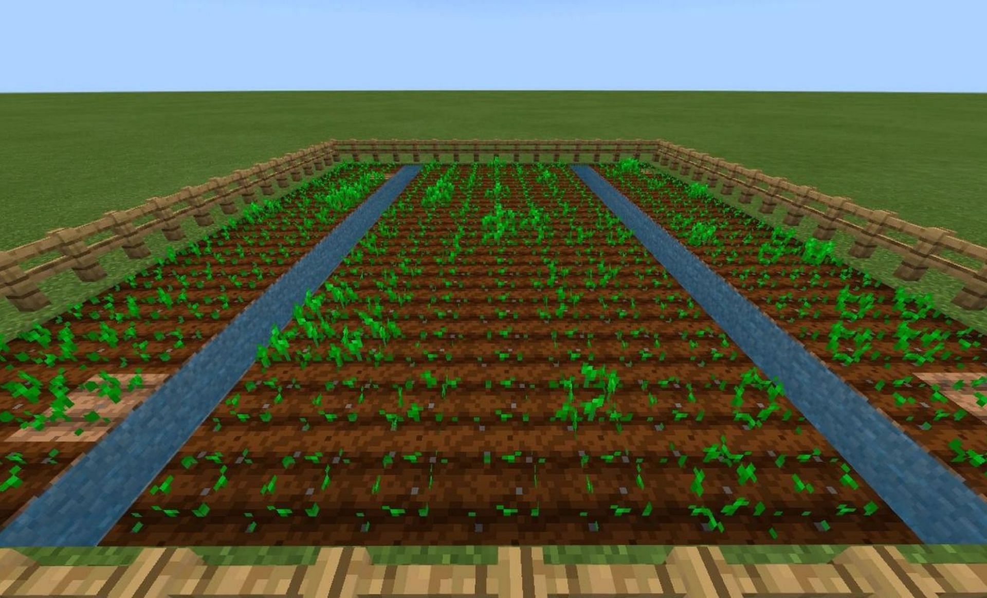 Classic farm design (Image via Minecraft Wiki)
