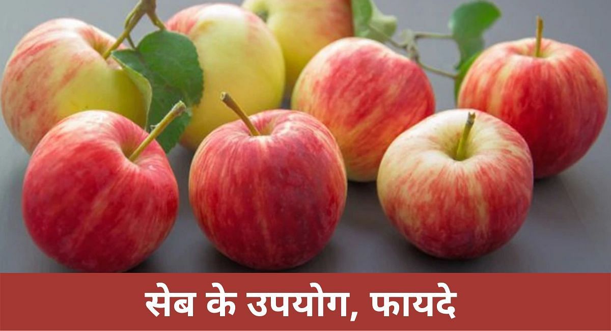 सेब के उपयोग, फायदे (फोटो-Sportskeeda hindi)