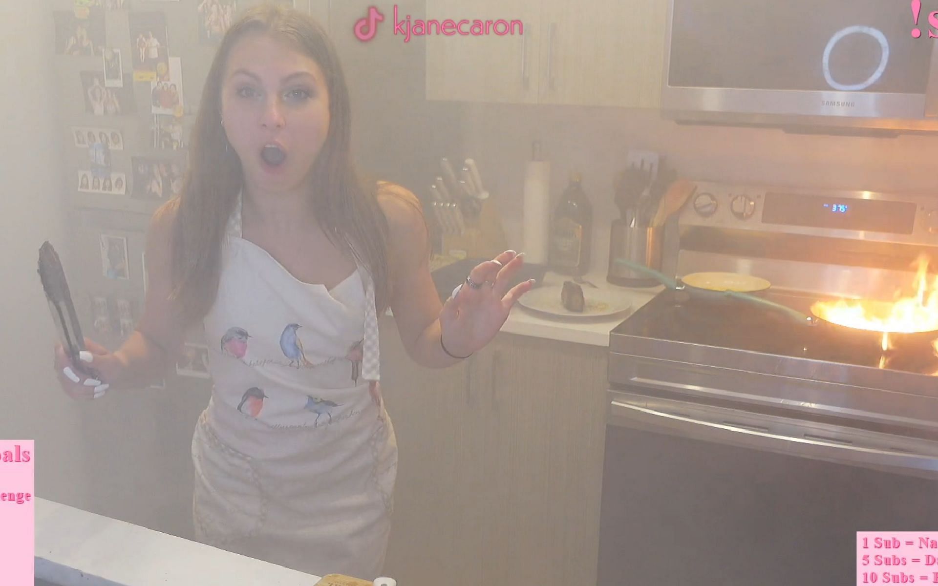 Twitch streamer kjanecaron sets her kitchen on fire during a subathon stream (Image via kjanecaron/Twitch)