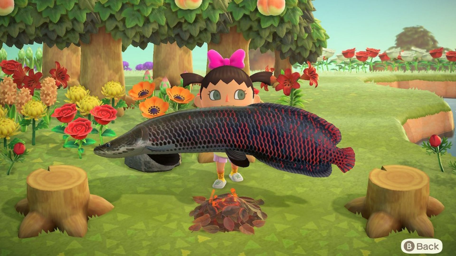 Animal Crossing: New Horizons has some fish that are rarer than others (Image via ZoeTwoDots/Twitter)
