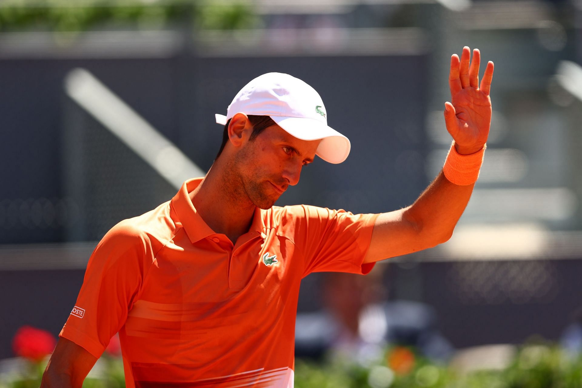 Novak Djokovic at the 2022 Madrid Open.