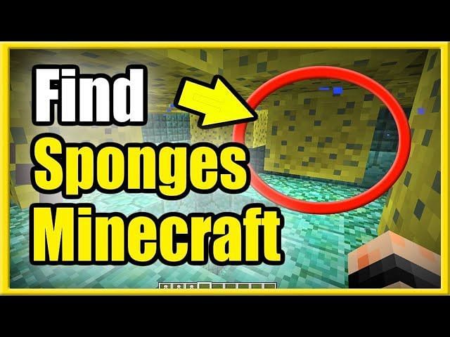Where to find sponges in Minecraft 1.18