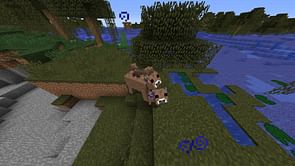What is the rarest mob skin in Minecraft?