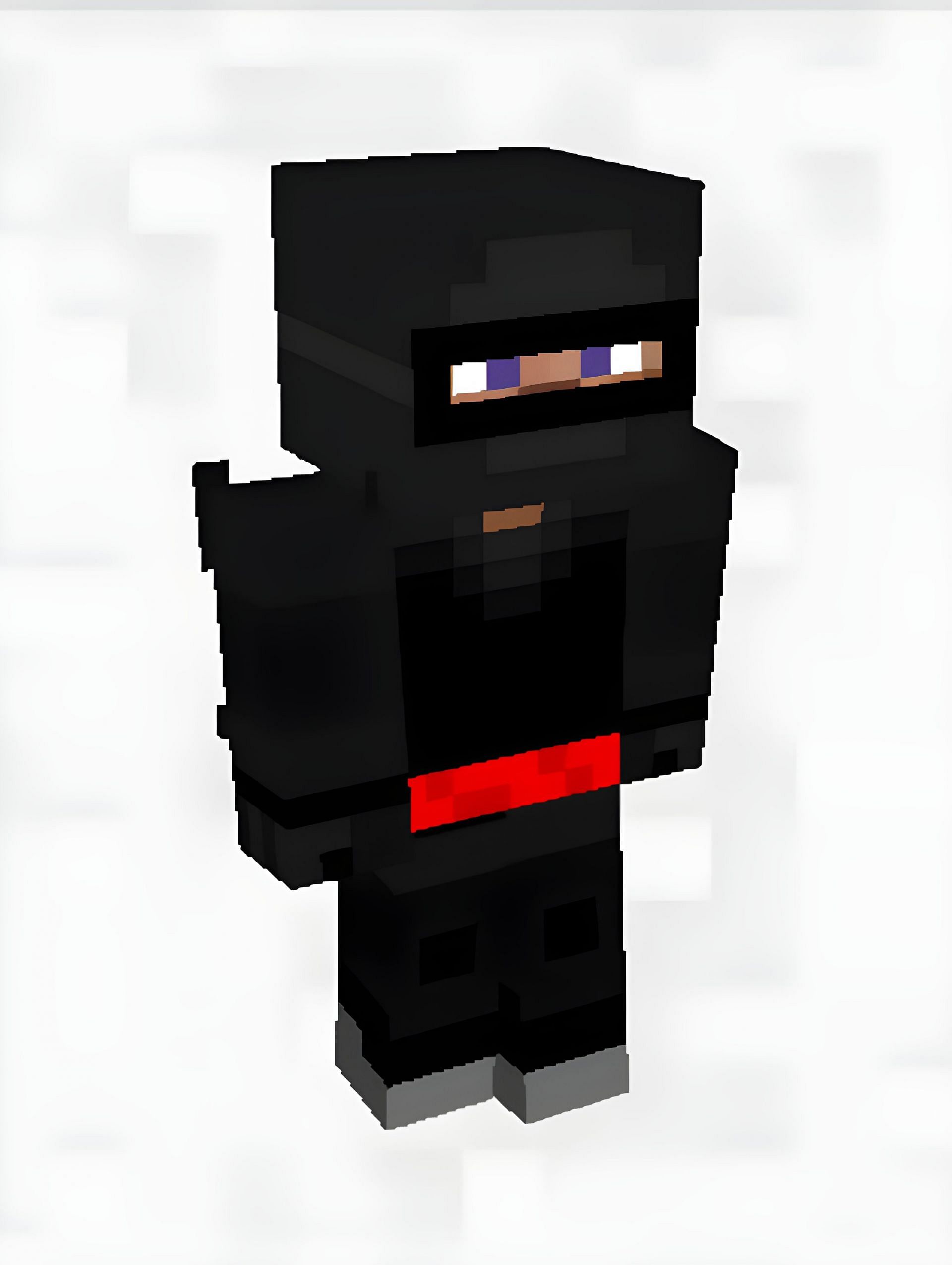 The Ninja skin (Image via SkinsMC)