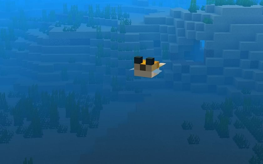 how-rare-are-pufferfish-in-minecraft