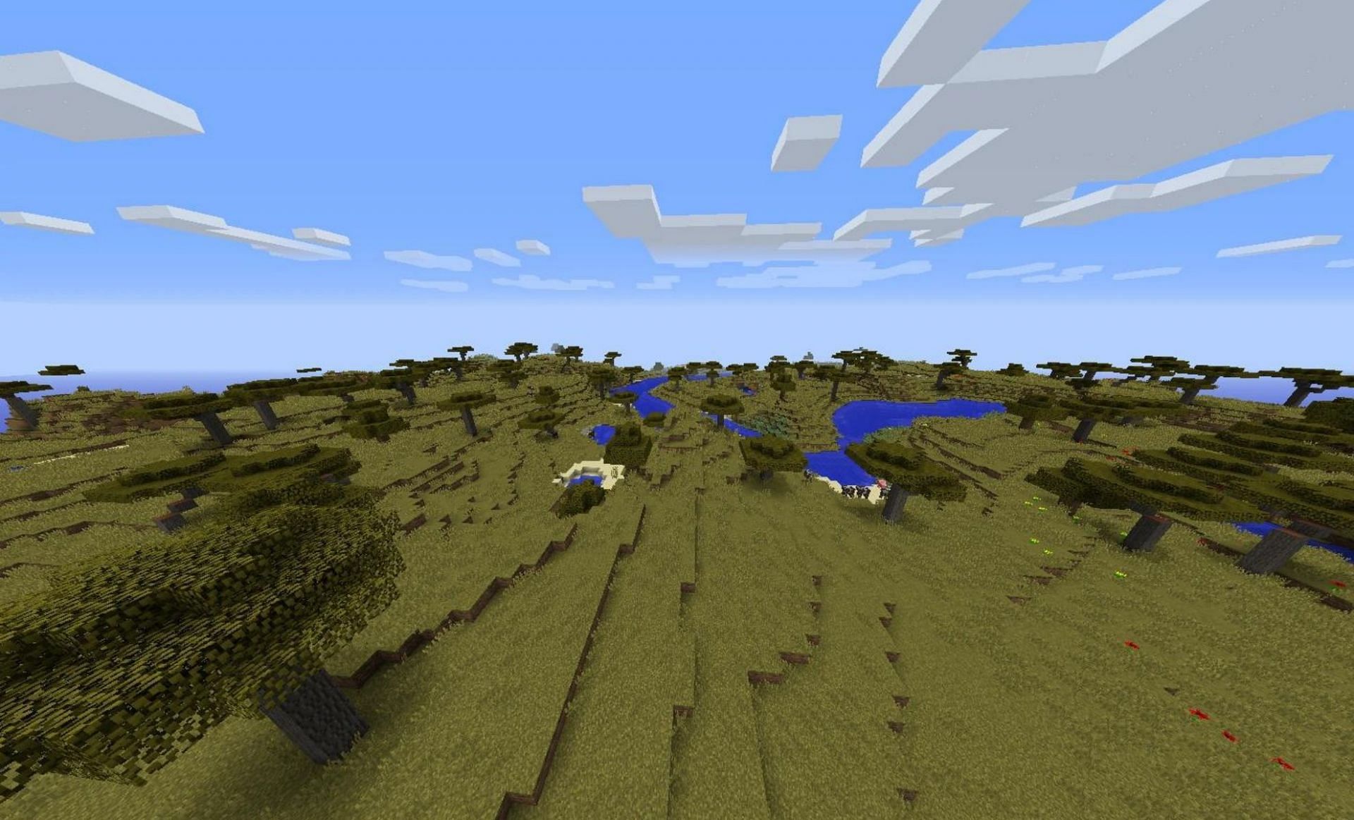 A llok at the savanna biome (Image via Minecraft Wiki)