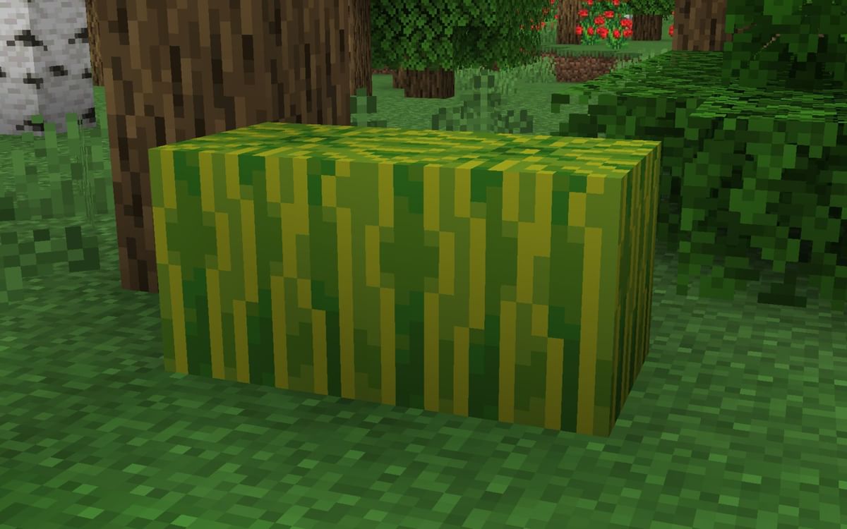 Where to find melons in Minecraft 1.18?