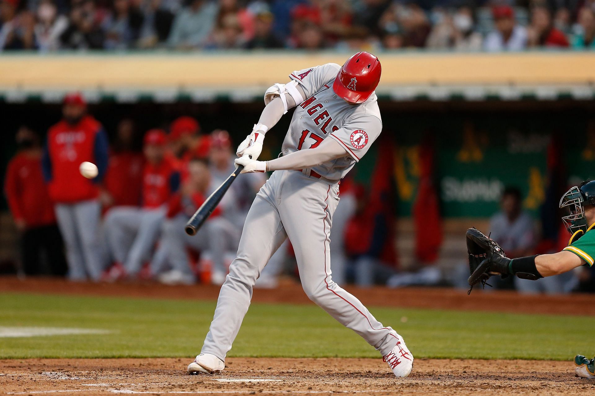 Shohei Ohtani breaks Japanese MLB single-season HR record