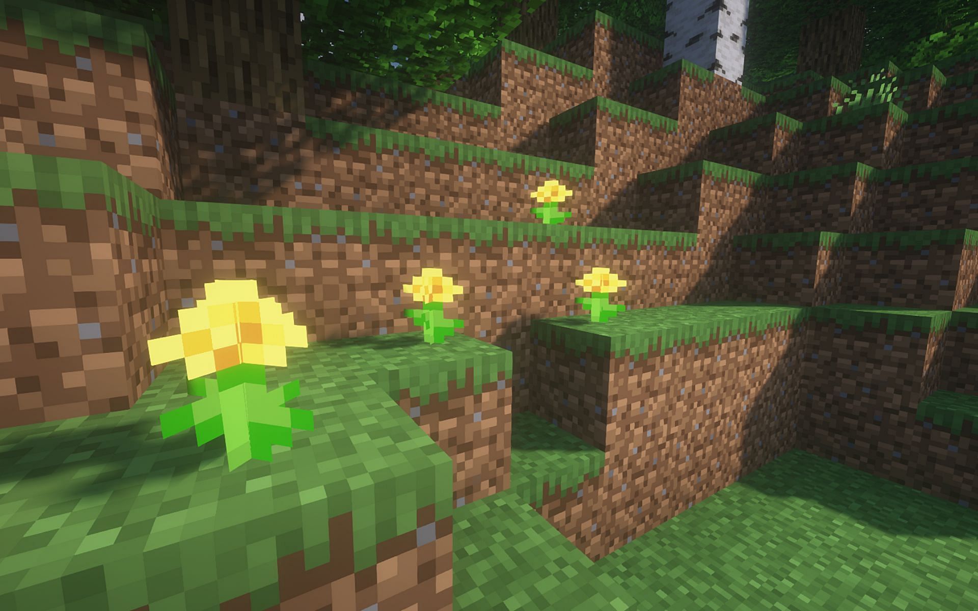 BSL shaders are beautiful mod to make the game prettier (Image via Minecraft)