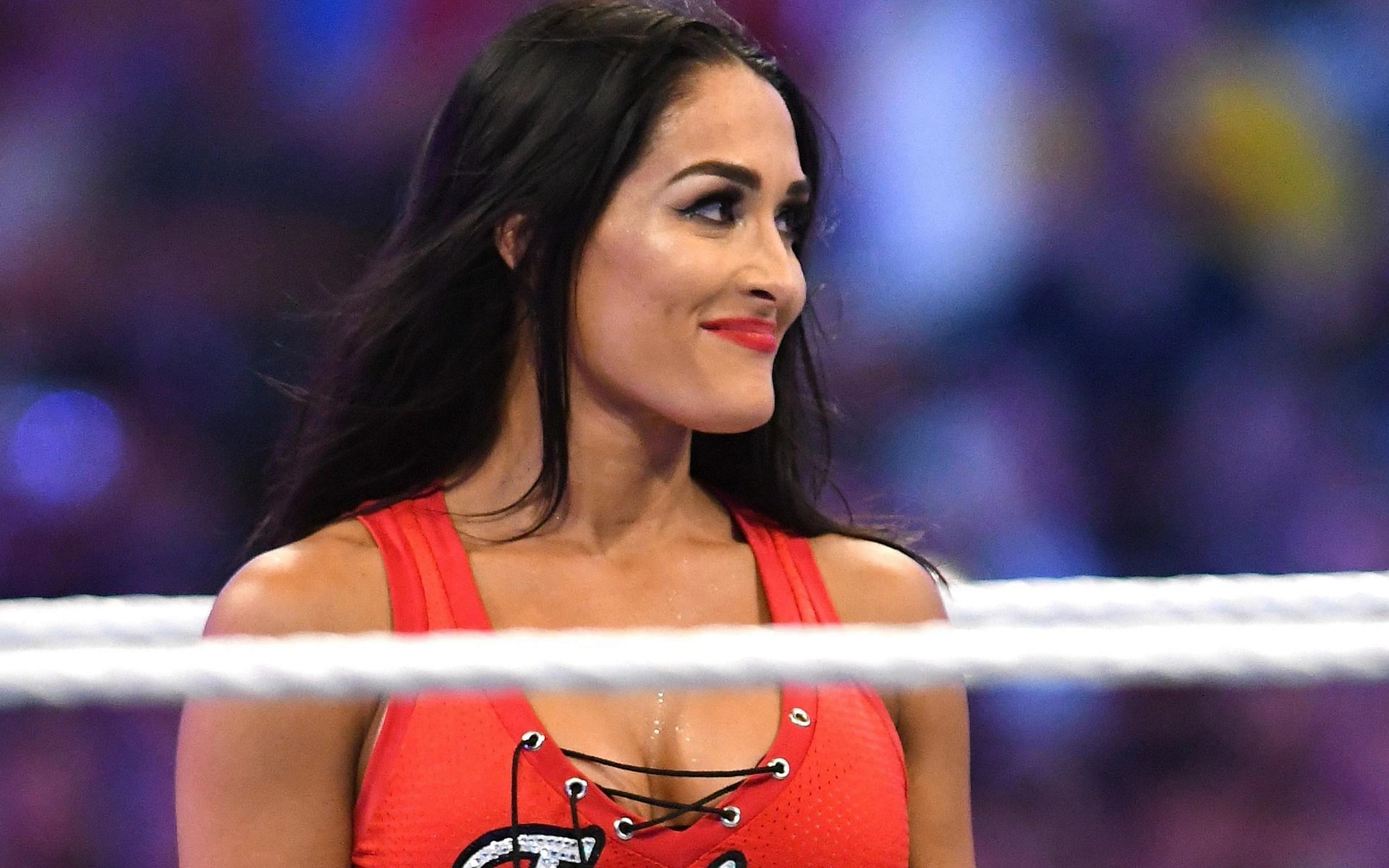 nikki bella barmageddon