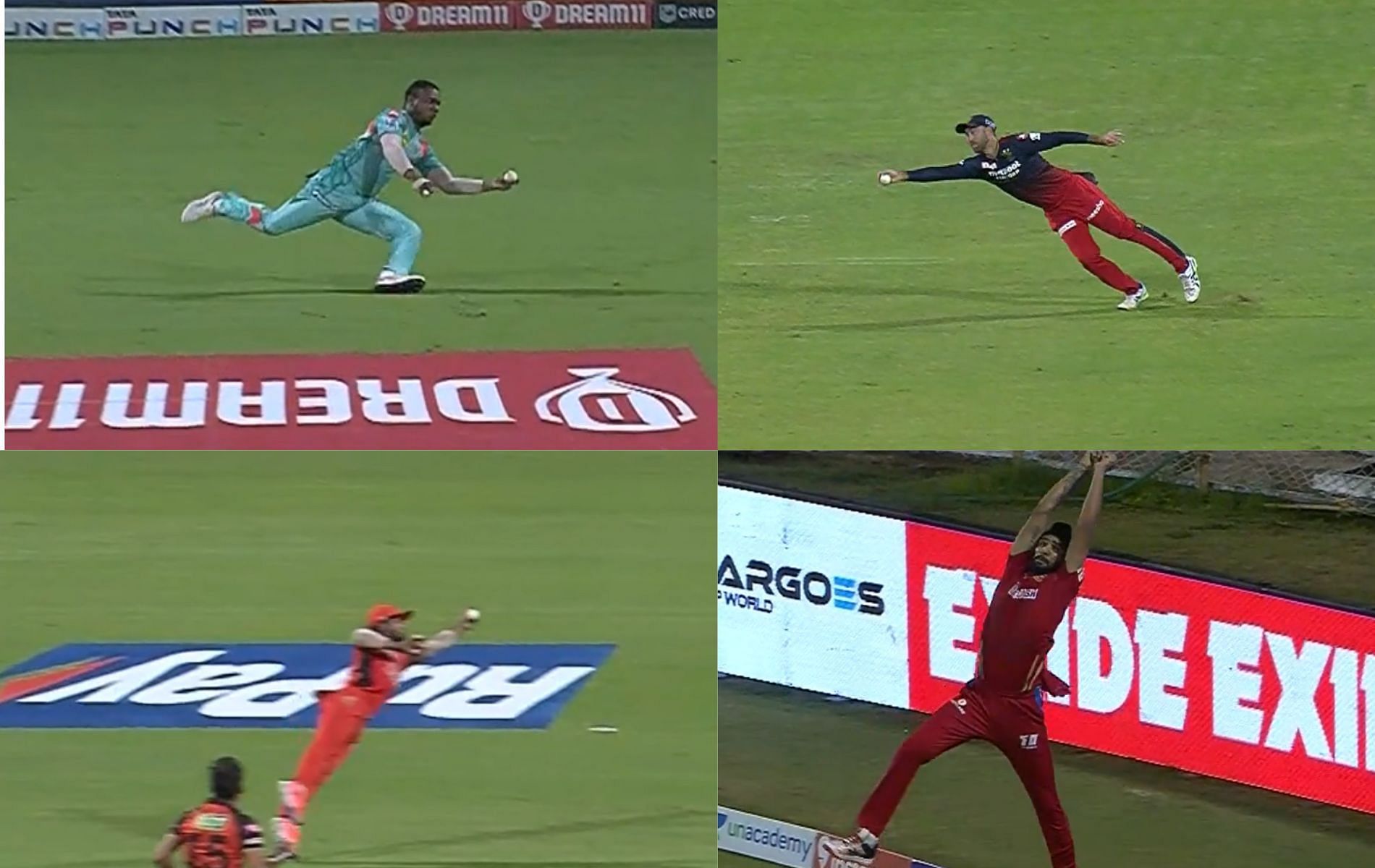 A collage of some of the best catches of the season. All Pics: IPLT20.COM