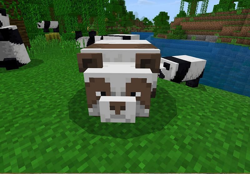 Brown Panda in Minecraft