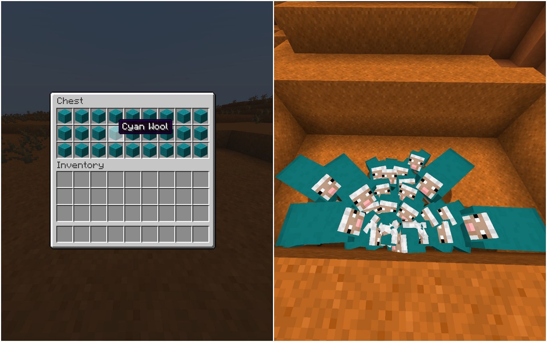 Cyan wool and sheep in Minecraft (Image via Minecraft)