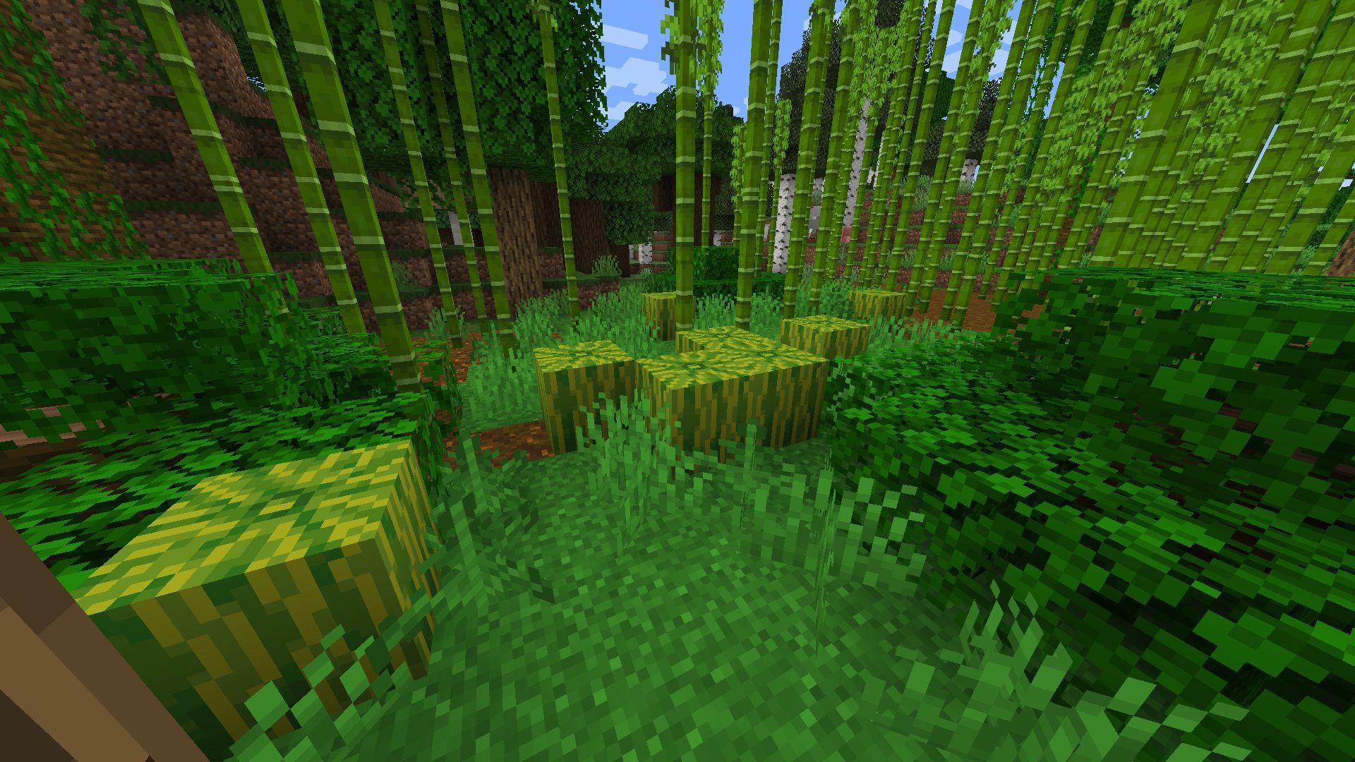 Growing in Jungle biomes (Image via Minecraft)