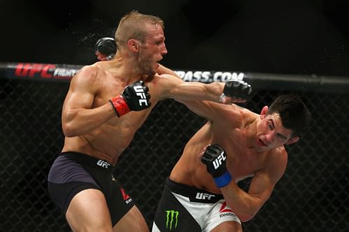 T.J.Dillashaw (left) and Dominick Cruz