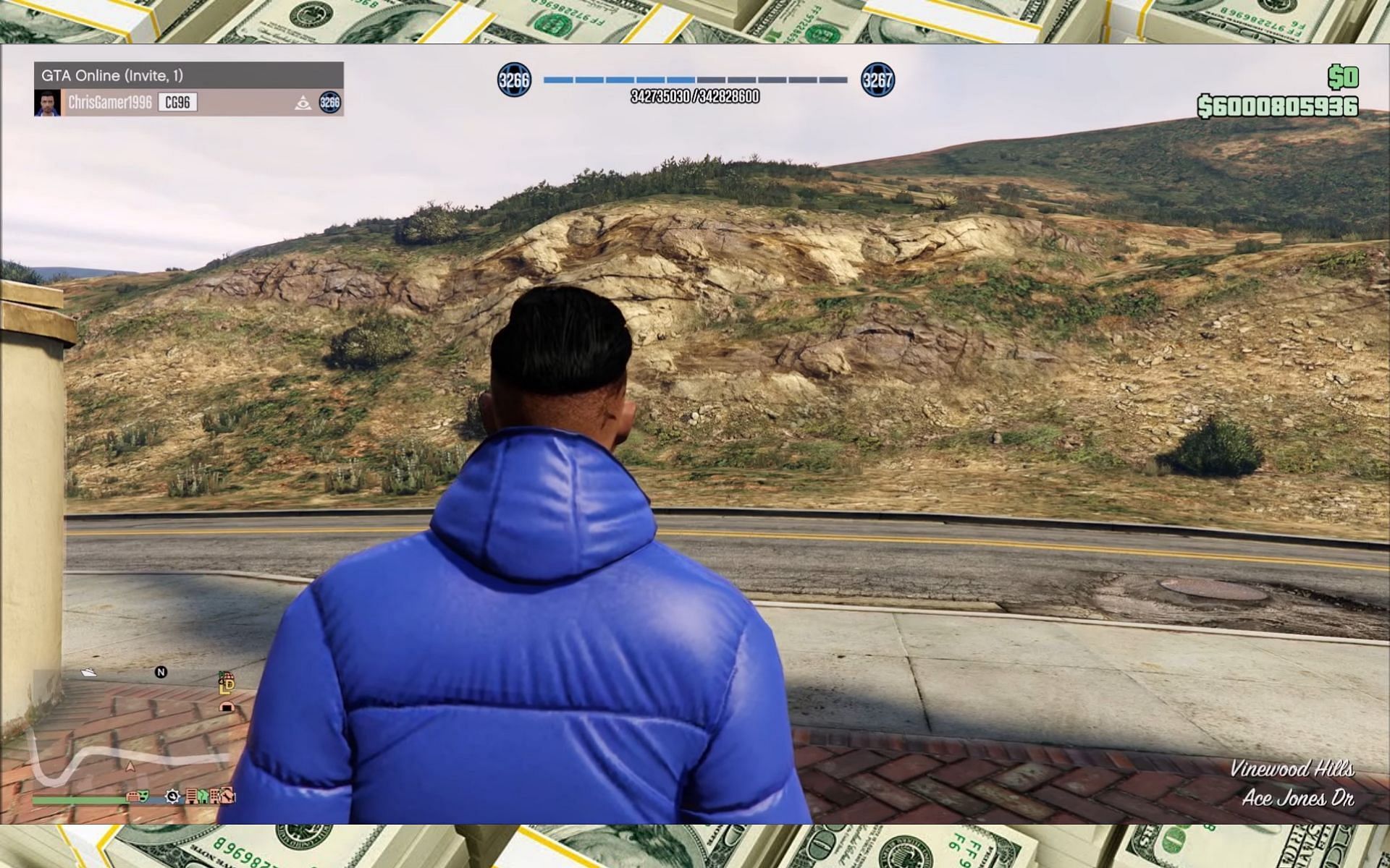 Imagine having this much money (Image via ChrisGamer1996)