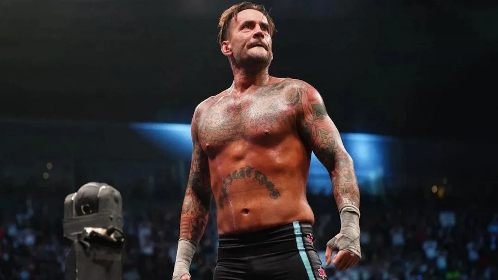 CM Punk is a 6-time World Champion across multiple promotions.