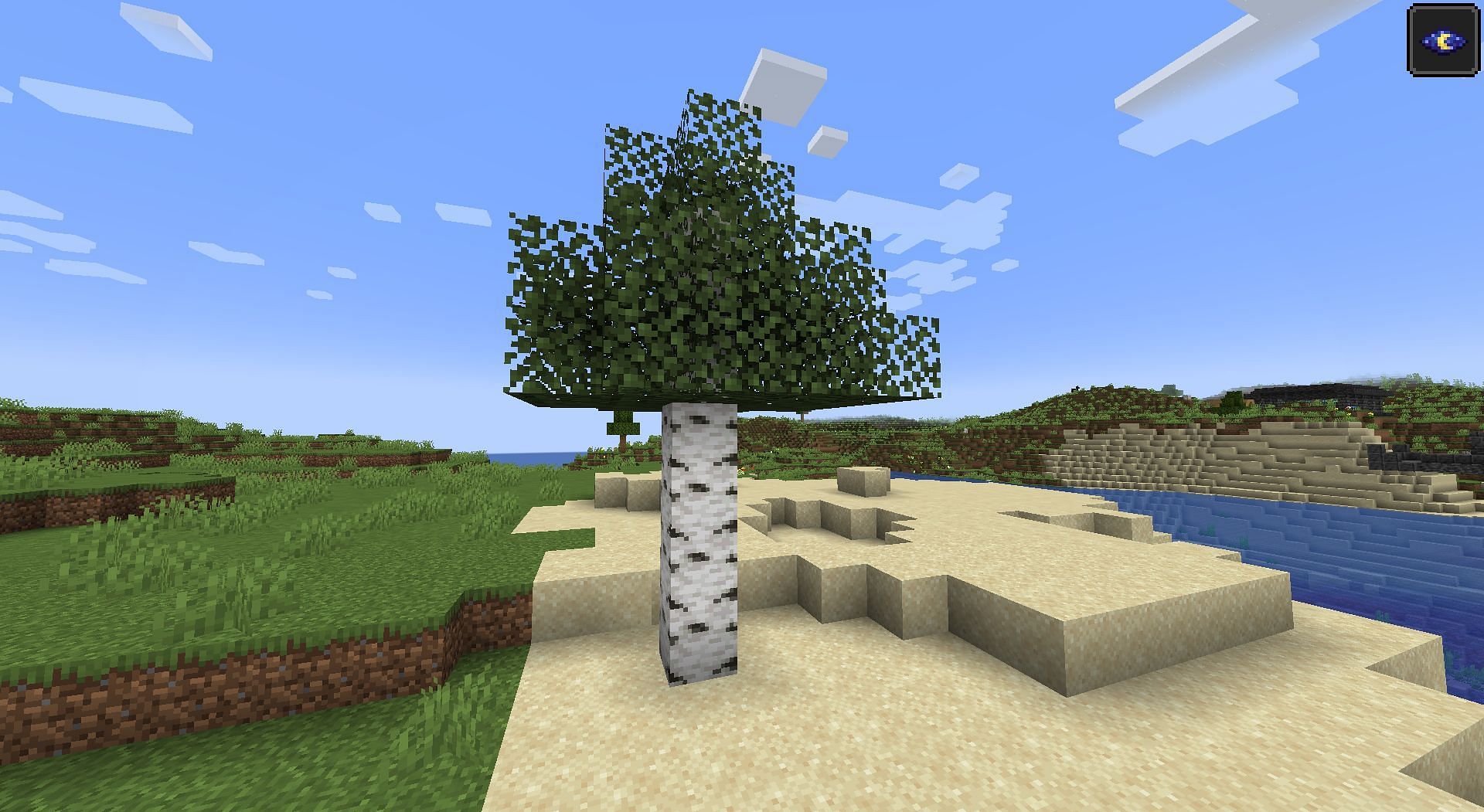 Birch tree generated on a beach near plains (Image via Minecraft snapshot 22w18a)