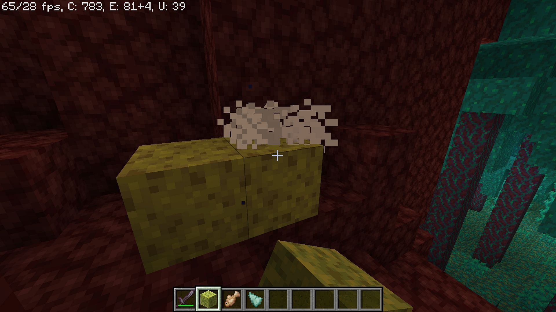 Blocks instantly dry up when placed in the Nether (Image via Minecraft 1.18)