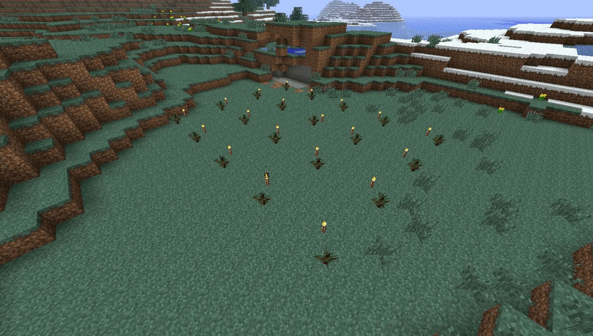 Spruce tree farm area (Image via Minecraft Wiki)