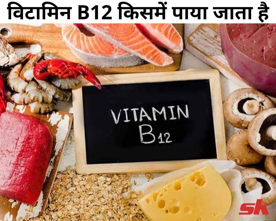 विटामिन B12 किसमें पाया जाता है Vitamin B12 Kisme Paya Jata Hai In Hindi