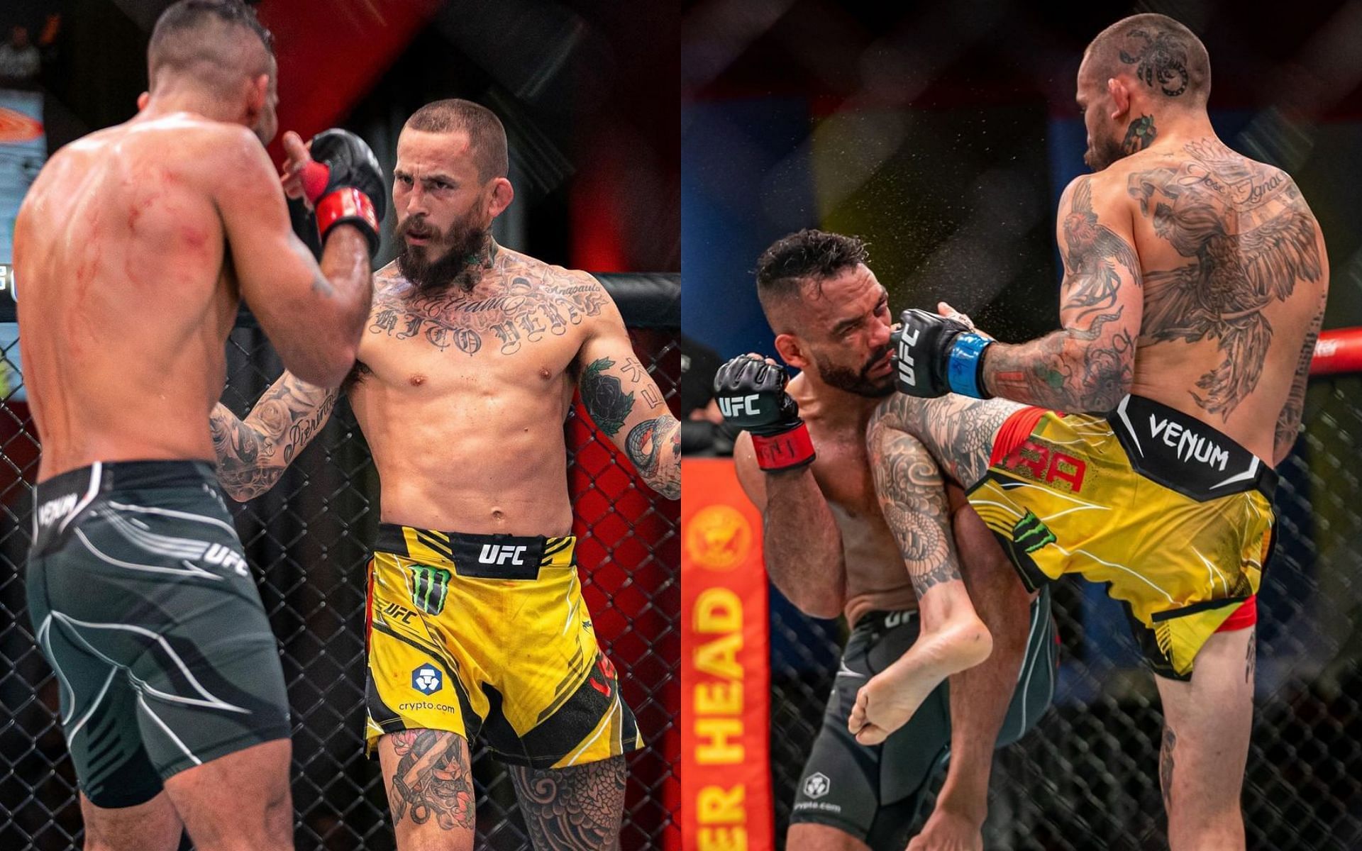 UFC Fight Night: Rob Font vs. Marlon &#039;Chito&#039; Vera [Photo credit: @ufc on Instagram]