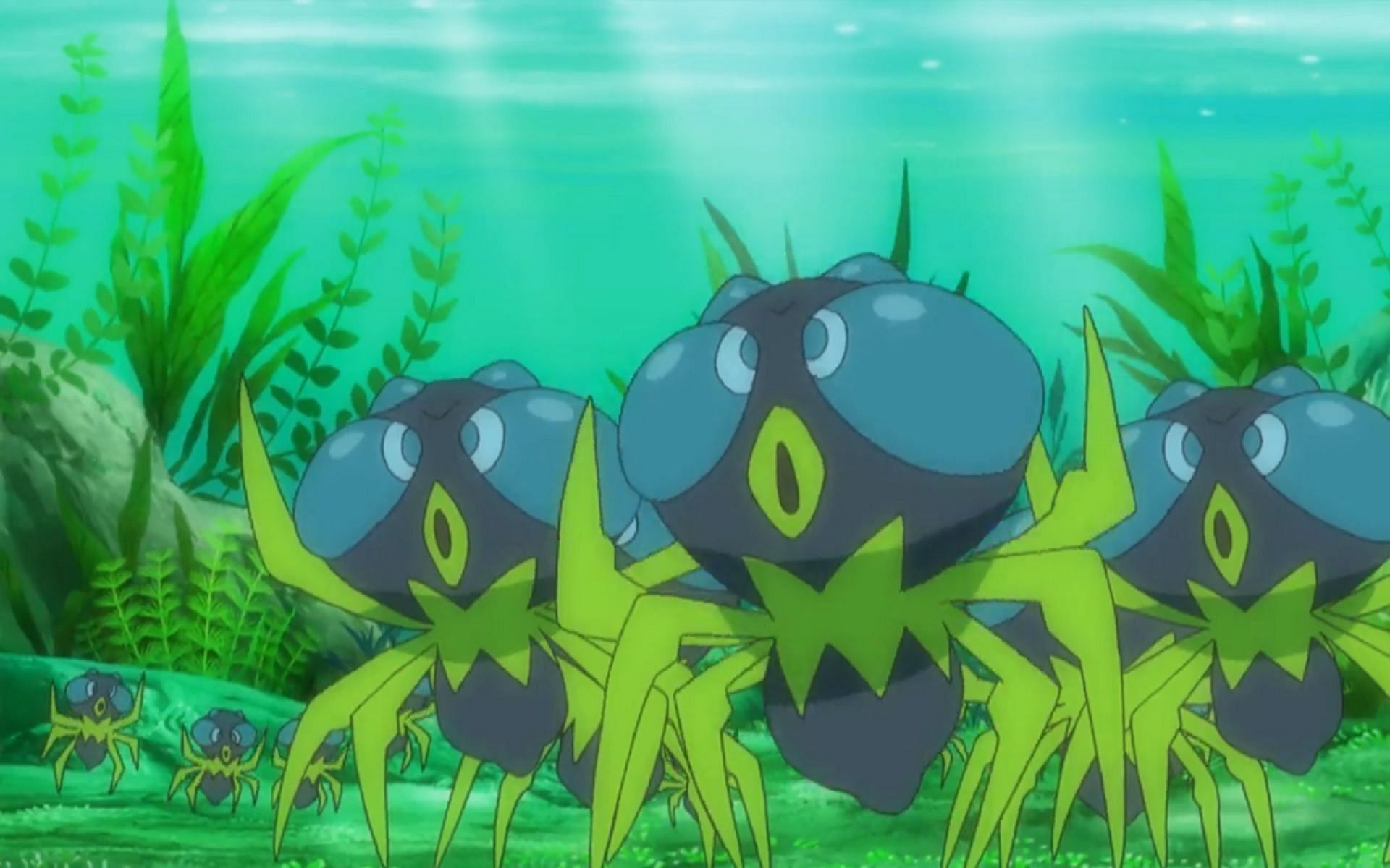 Dewpider as it appears in the anime (Image via The Pokemon Company)