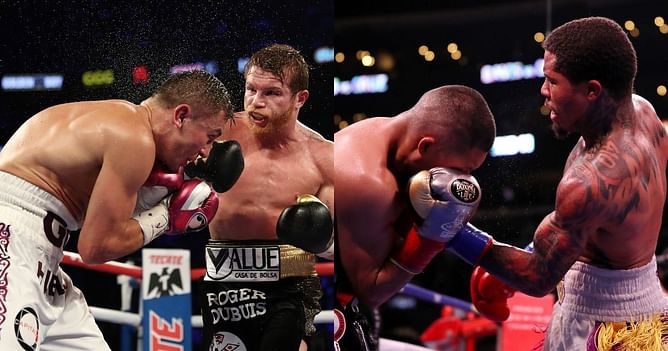 "Gervonta Davis, I like" - Canelo Alvarez names his favorite current boxer