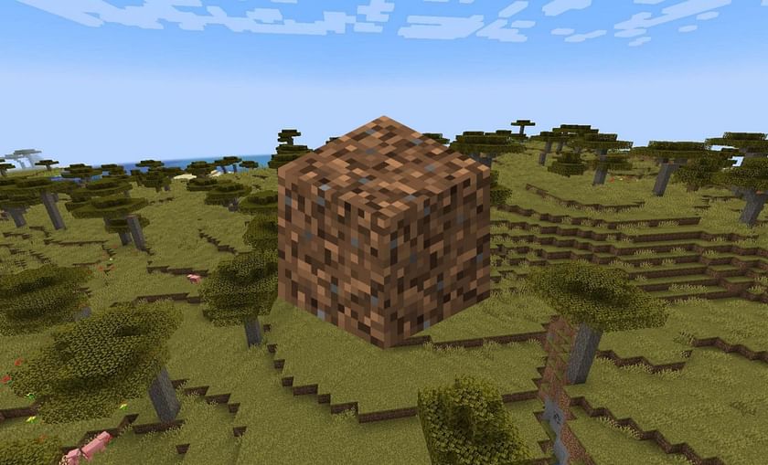 What does coarse dirt do in Minecraft?