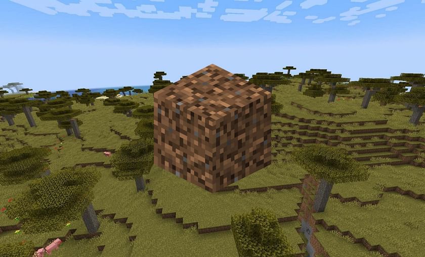 All types of dirt blocks in Minecraft