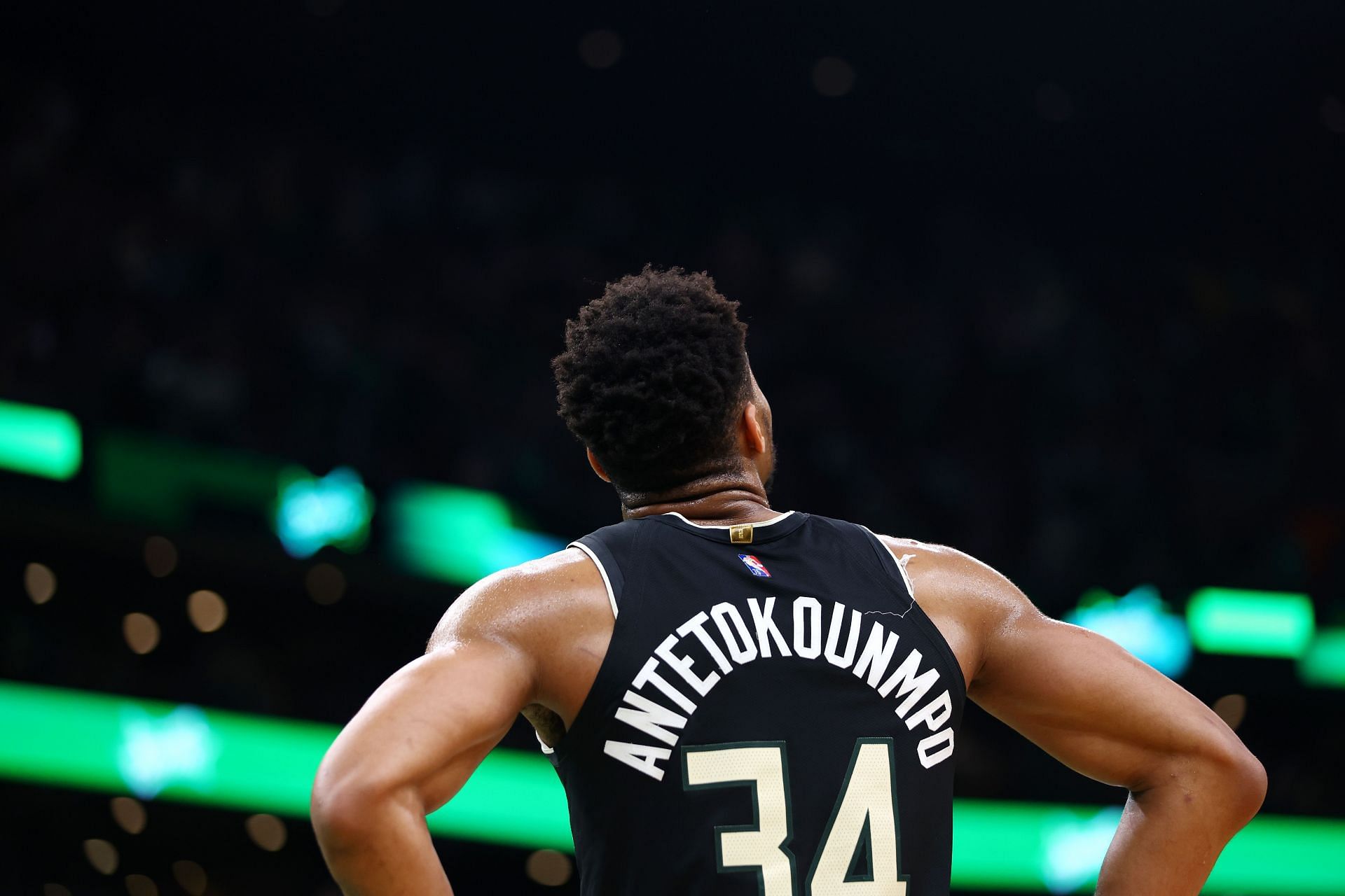 Giannis Antetokounmpo No. 34 of the Milwaukee Bucks.