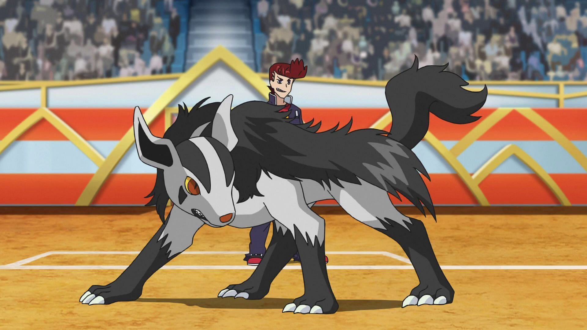 Mightyena as it appears in the anime (Image via The Pokemon Company)