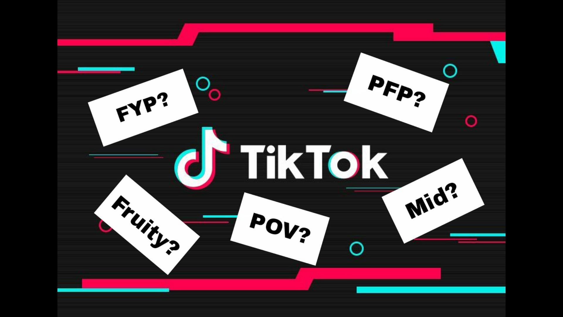 Internet S Guide To Tiktok Slang Meaning Of Fyp Pov Pfp Mid And