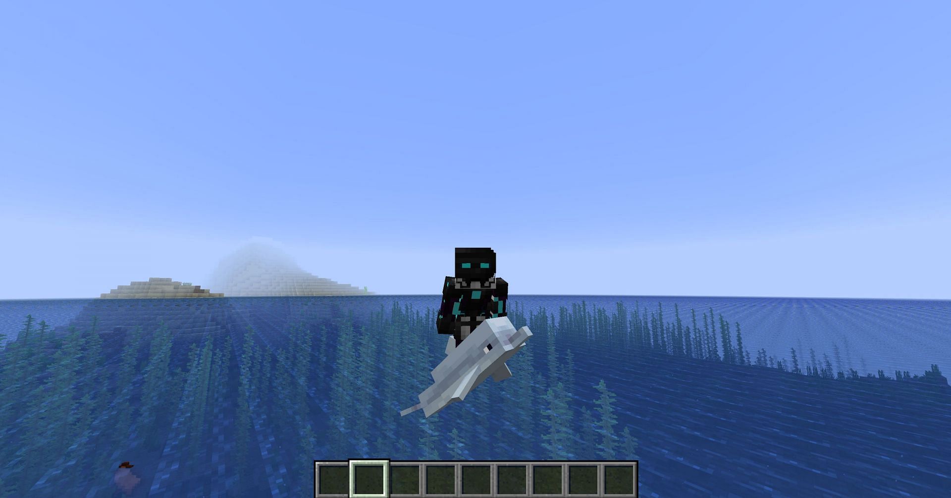 A player riding a dolphin in Minecraft (Image via Reddit)