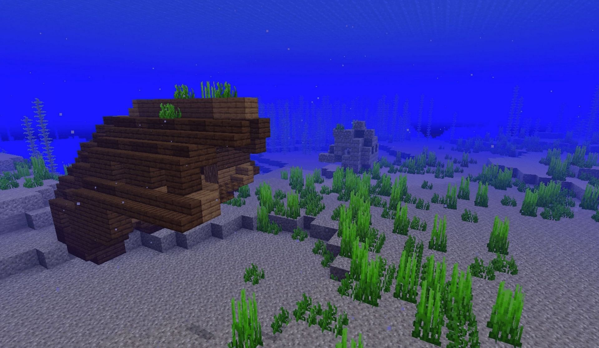 A vast ocean seed in Minecraft (Image via Minecraft Wiki)