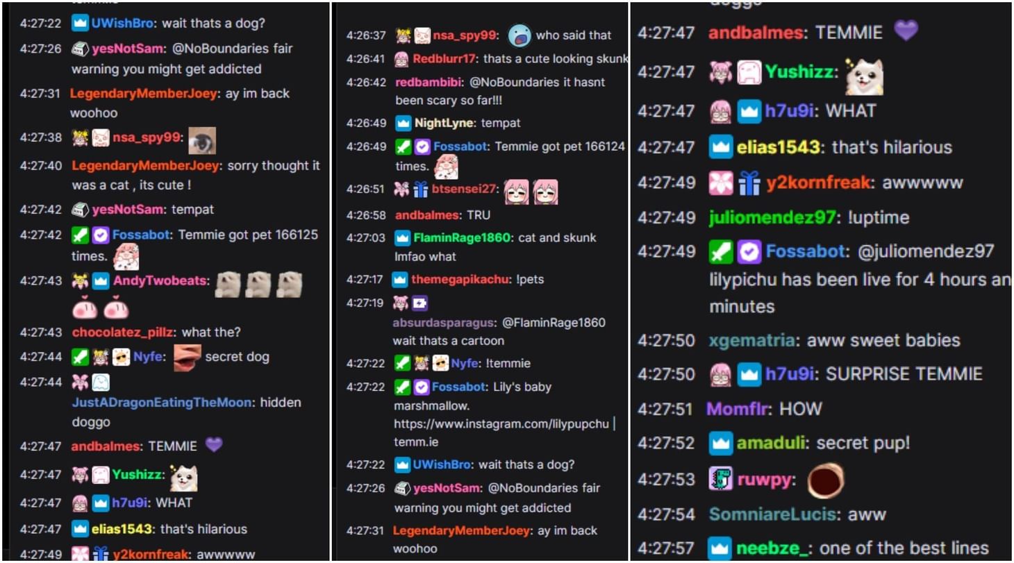 LilyPichu reveals where her dog likes to rest when she is streaming