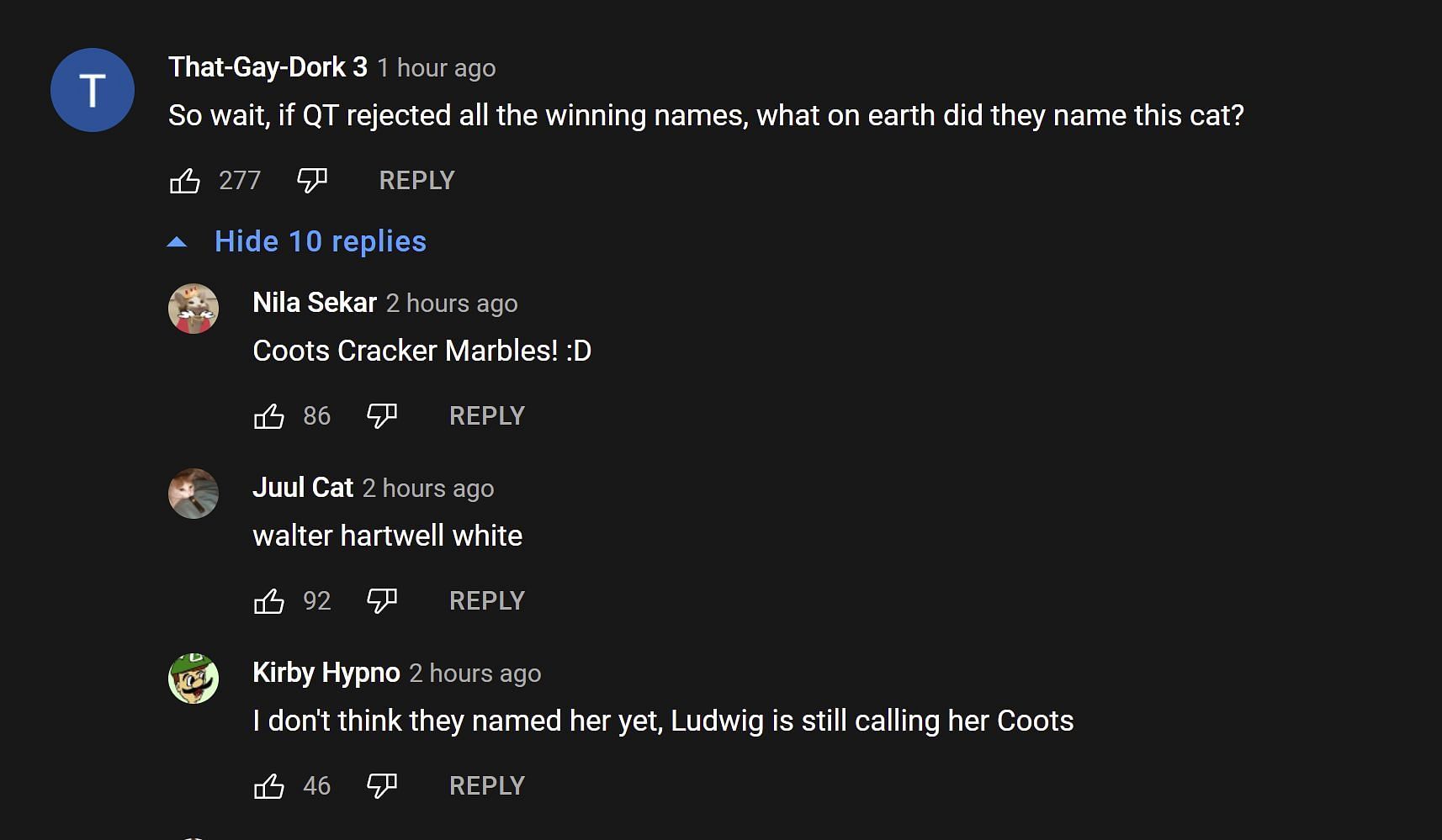 Fans provide their take on the cat&#039;s name 2/2 (Image via Ludwin Clips/YouTube)