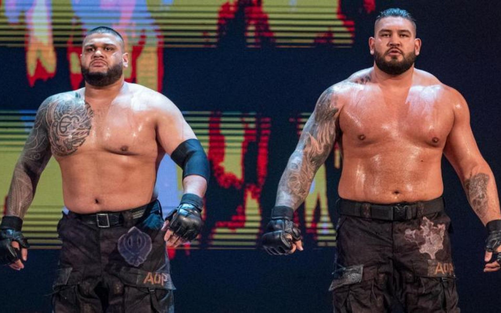 Former WWE Superstars, Authors of Pain